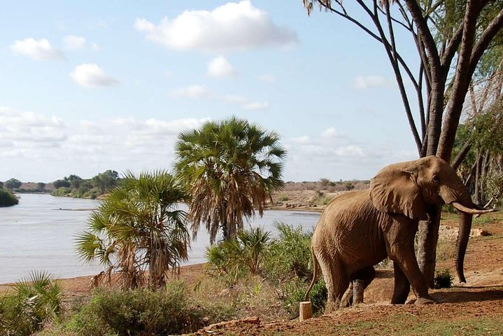 3 Days (2 nights); Tsavo East & West Safari: - Image 5