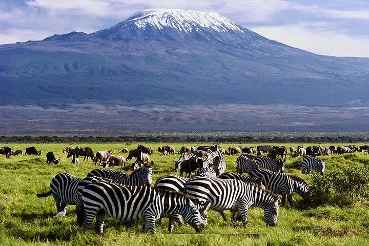 3 Days Amboseli & Tsavo East Jeep Safari from Diani (MIN 2 PAX) - Image 1