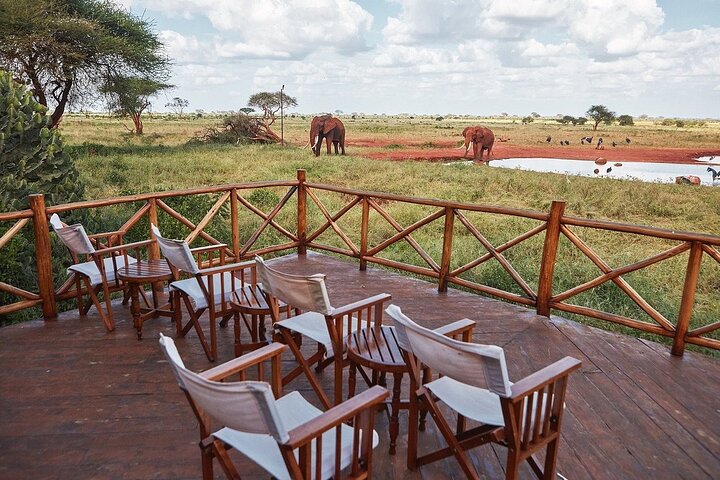 3 DAYS SALTLICK AND NGUTUNI SAFARI (minimum 2 pax) - Image 5
