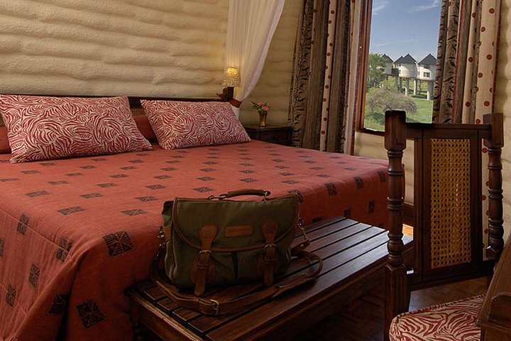 3 DAYS SALTLICK AND NGUTUNI SAFARI (minimum 2 pax) - Image 3