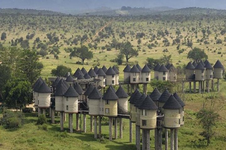 3 DAYS SALTLICK AND NGUTUNI SAFARI (minimum 2 pax) - Image 2