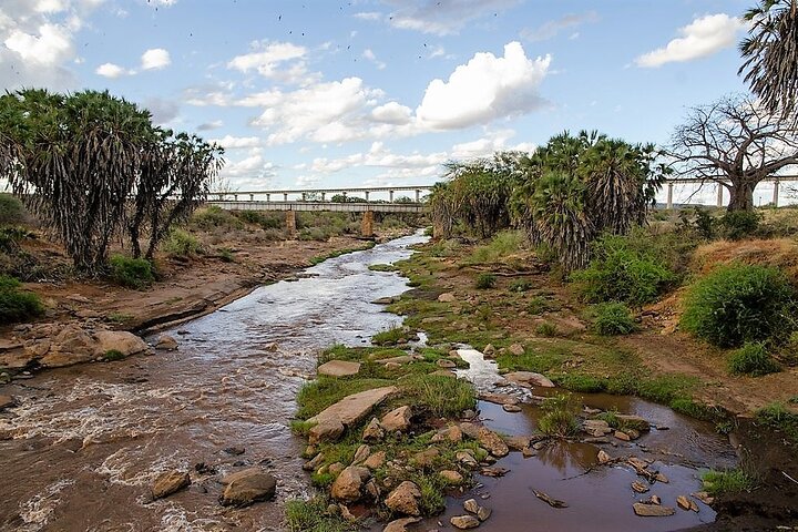 3 Days Tsavo East & Amboseli (2 Nights) - Image 4