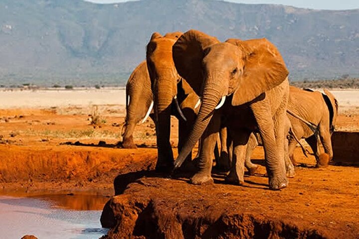 3 Days Tsavo East Safari from Diani Mombasa -(MIN 2 PERSONS) - Image 3