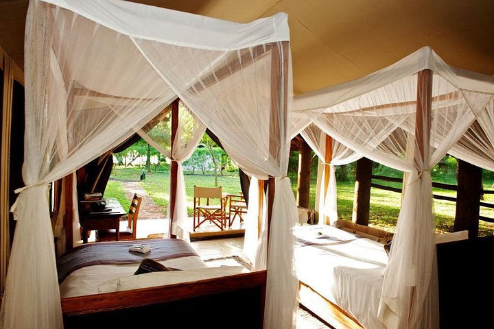 3 Days Tsavo East -Tsavo West Ziwani Package ( Minimum 2 persons) - Image 3