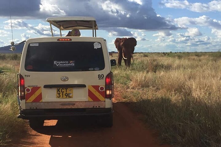 3 Days Tsavo East & West Safari from Diani Beach Mombasa - Image 3
