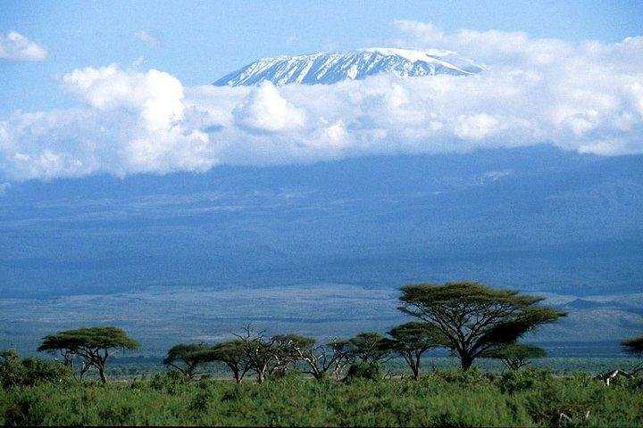 3 days Tsavo safari from Mombasa or Diani beach - Image 2