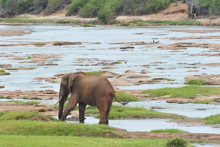 3 Days Tsavo West-Amboseli SGR Train Serena Safari Experience (minimum 2 Pax) - Image 3