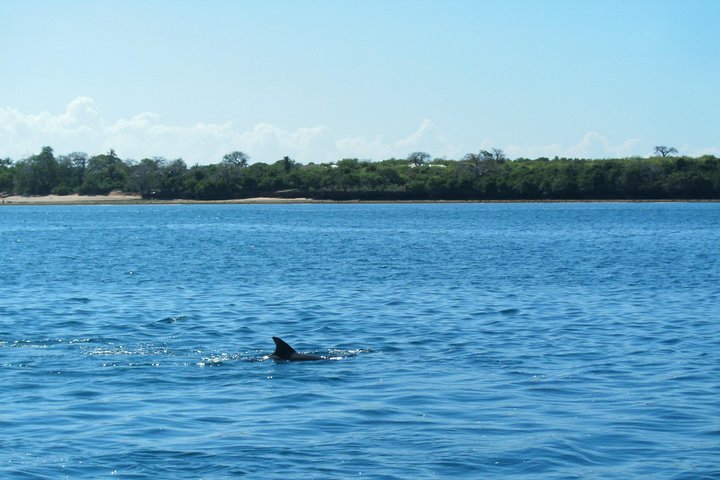 4-Day Diani Beach All Inclusive Getaway  - Image 1