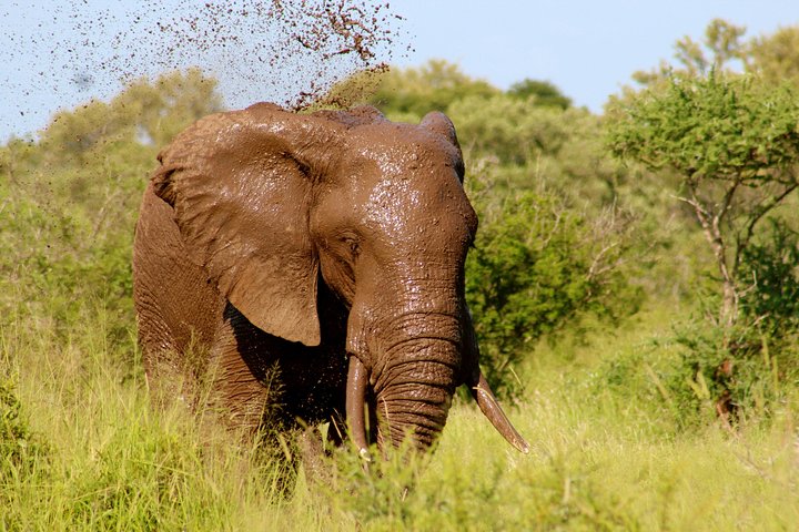 4 Days 3 Nights Tsavo East And West Safari ( Minimum 2 Persons) - Image 1