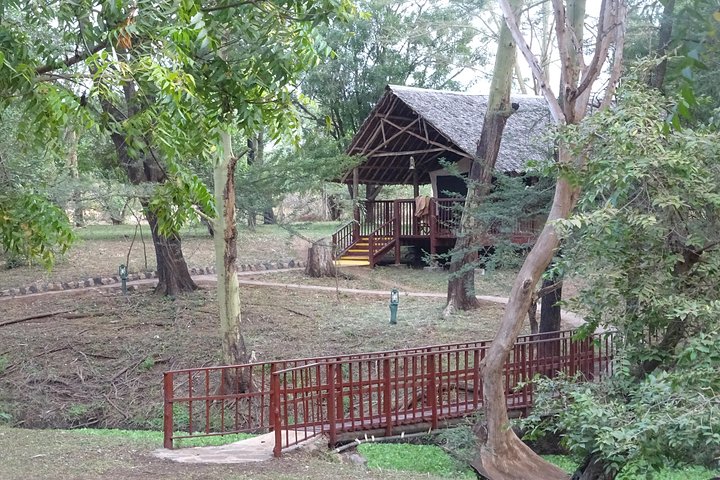 5 Days Safari Tsavo East Voyager Ziwani Amboseli Tsavo West Kilanguni Serena Ldg - Image 5