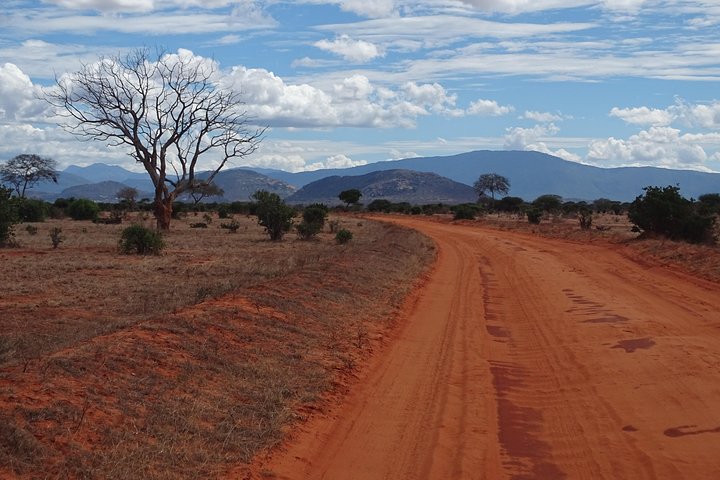 5 Days Safari Tsavo East Voyager Ziwani Amboseli Tsavo West Kilanguni Serena Ldg - Image 1