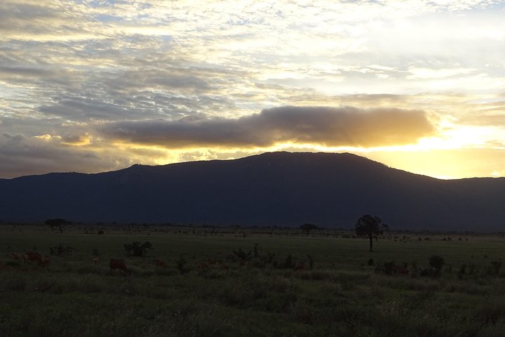 5 Days Safari Tsavo East Voyager Ziwani Amboseli Tsavo West Kilanguni Serena Ldg - Image 2