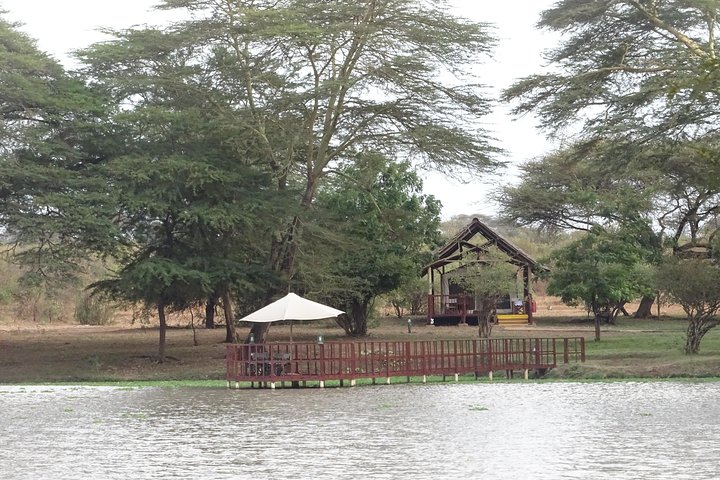 5 Days Safari Tsavo East Voyager Ziwani Amboseli Tsavo West Kilanguni Serena Ldg - Image 4