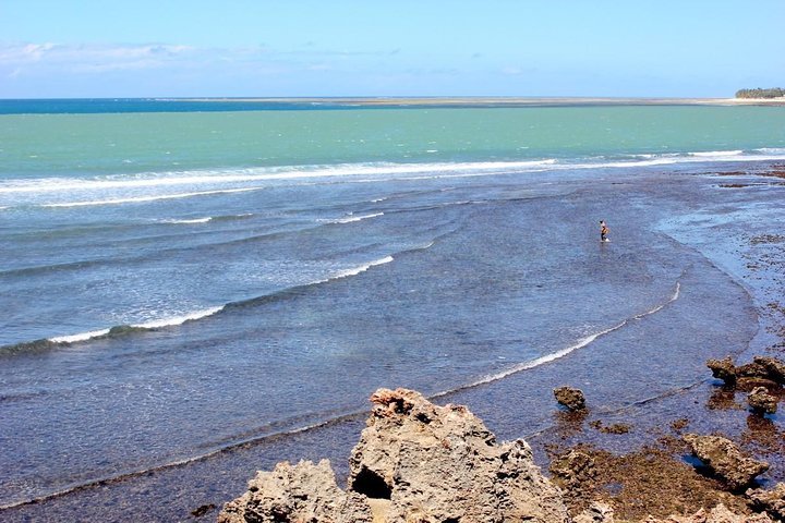 Full Day Mombasa Excursion Tour  - Image 5