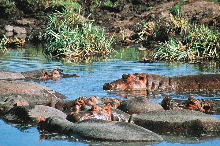 Full Day Mombasa Excursion Tour  - Image 1
