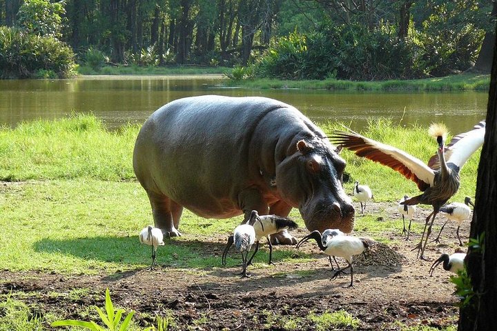 Full-Day Tour of Mombasa - Image 2