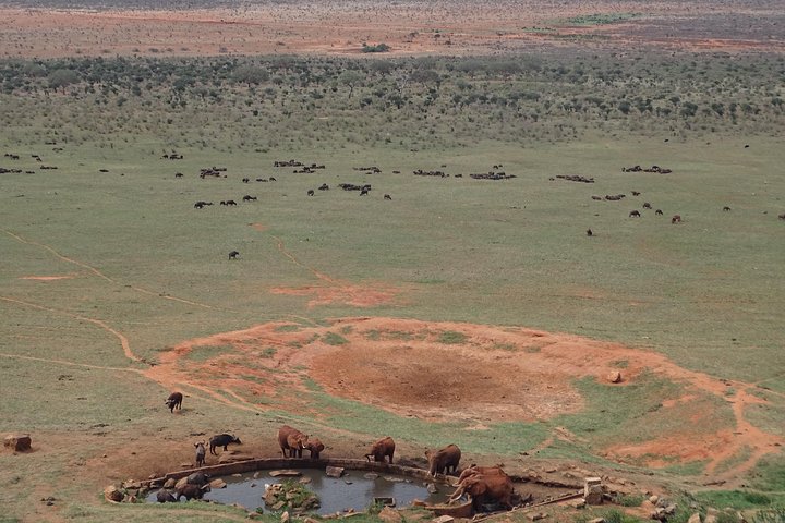 Overnight Safari to Tsavo East, Meet the Red Elephant of Tsavo East - Image 5