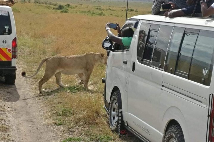 Overnight Tsavo East National Park Safari from Mombasa OR Diani Beach - Image 4