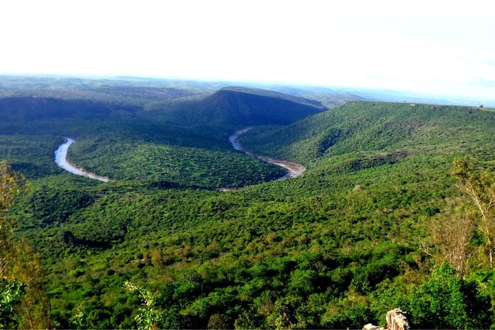 Shimba Hills 2 Days Guided Tour with Pick Up - Image 2