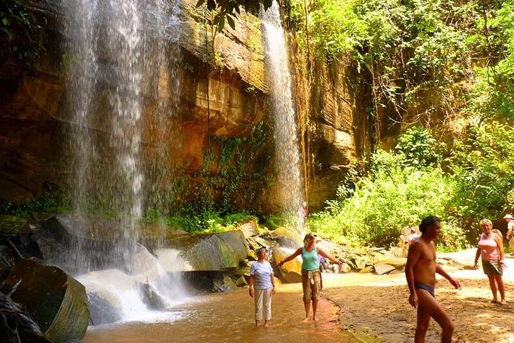 Shimba Hills 2 Days Guided Tour with Pick Up - Image 3