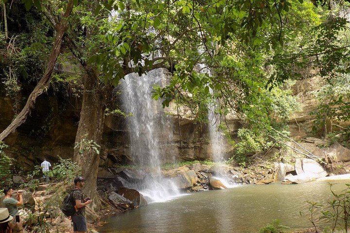 Shimba Hills 2 Days Guided Tour with Pick Up - Image 1