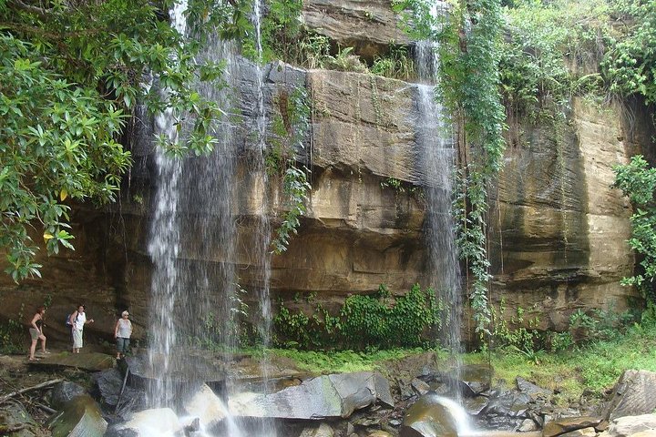 Shimba Hills 2 Days Guided Tour with Pick Up - Image 4