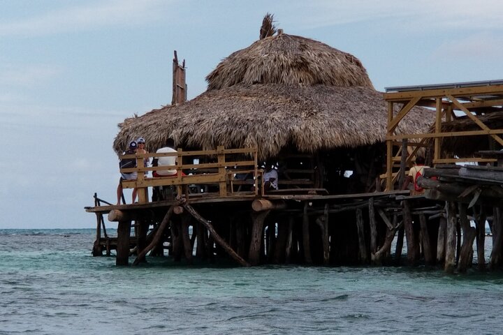 13. Appleton Rum Estate & Black River Safari Private Guided Combo all day tour - Image 4