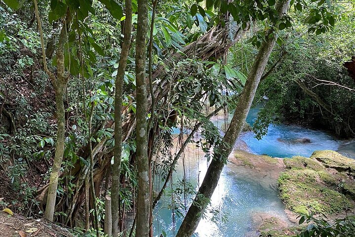 2 Hour Tour to Blue Hole from Montego Bay * {Admision Included }* - Image 3