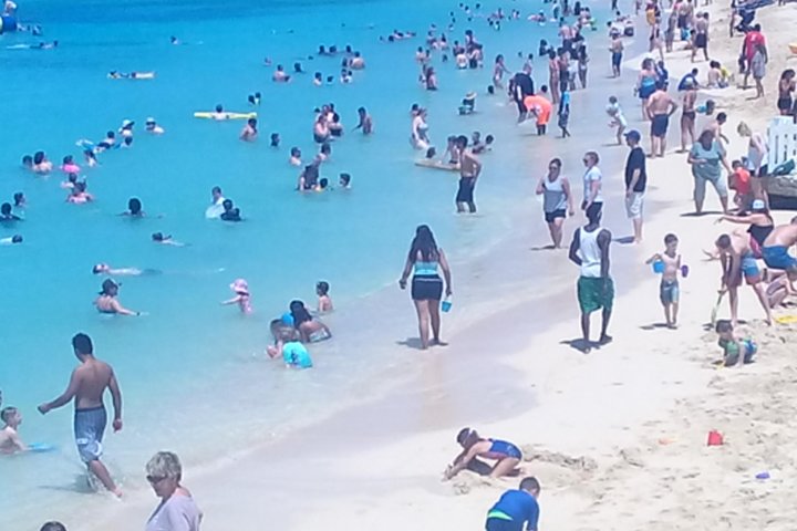 4 Hours Montego Bay Private Sightseeing Highlight Tour - Image 3
