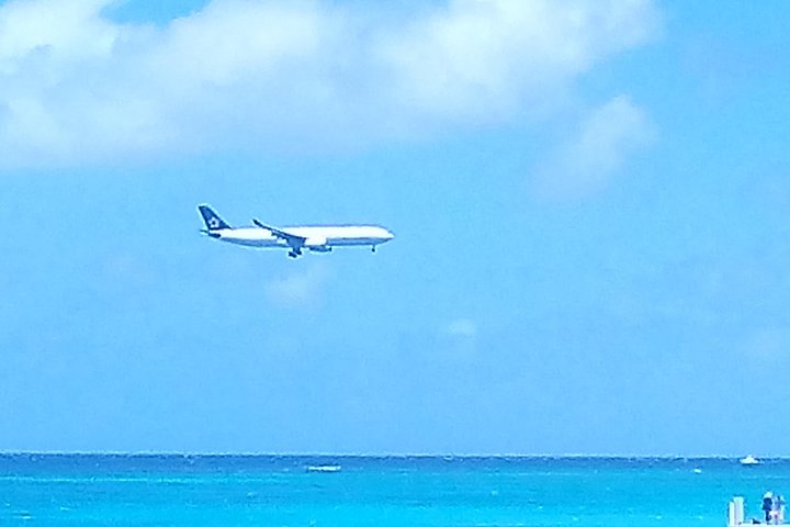 4 Hours Montego Bay Private Sightseeing Highlight Tour - Image 4