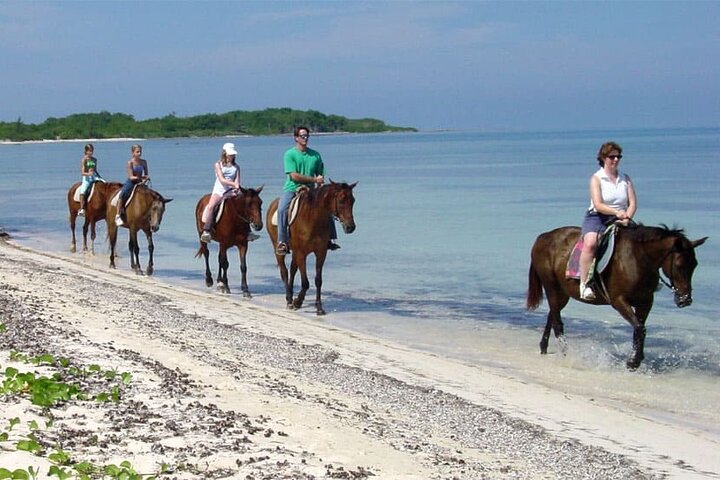 6 Hour Dunn's River Falls and Horseback Riding in Ocho Rios - Image 4