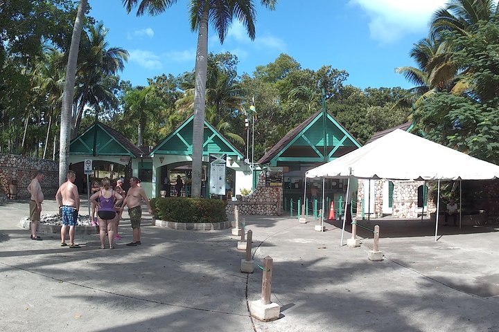 A day at Dunns River Falls Park and Beach  - Image 3
