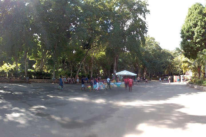 A day at Dunns River Falls Park and Beach  - Image 5