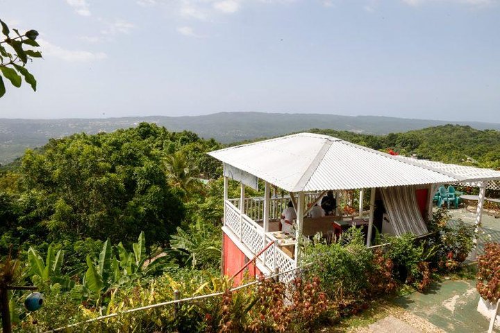 Ahhh Ras Natango Gallery and Garden Private Tour &Transportation  - Image 2