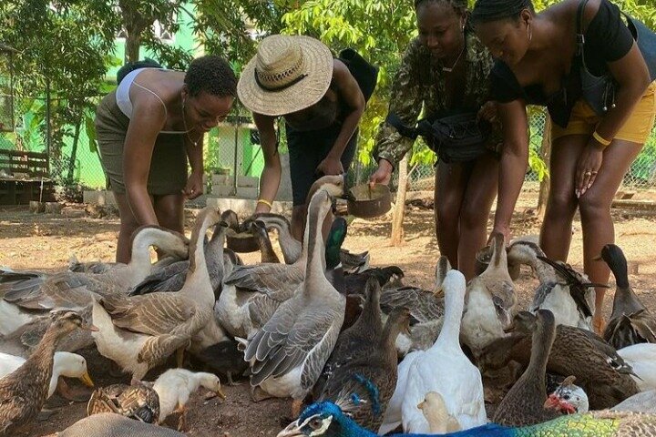 Animal Farm (Mini Zoo) , Bamboo Rafting and Limestone Massage Private Tour - Image 3