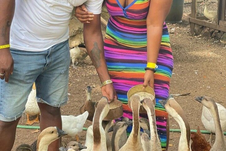 Animal Farm (Mini Zoo) , Bamboo Rafting and Limestone Massage Private Tour - Image 1