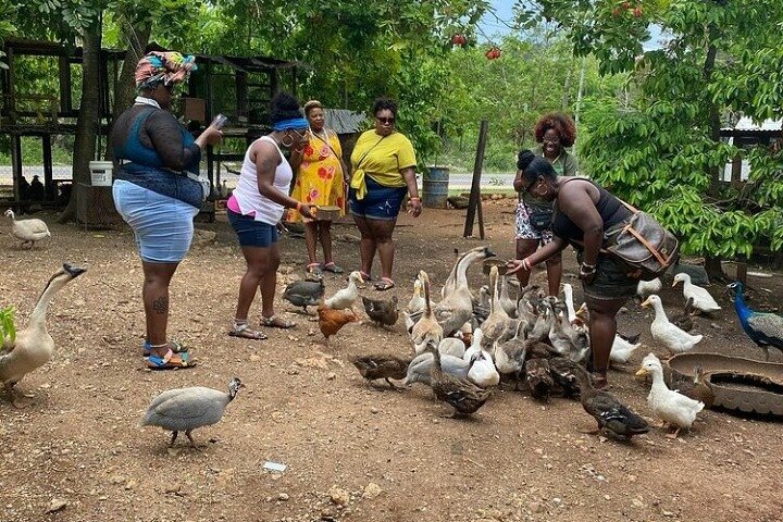 Animal Farm (Mini Zoo) , Bamboo Rafting and Limestone Massage Private Tour - Image 4