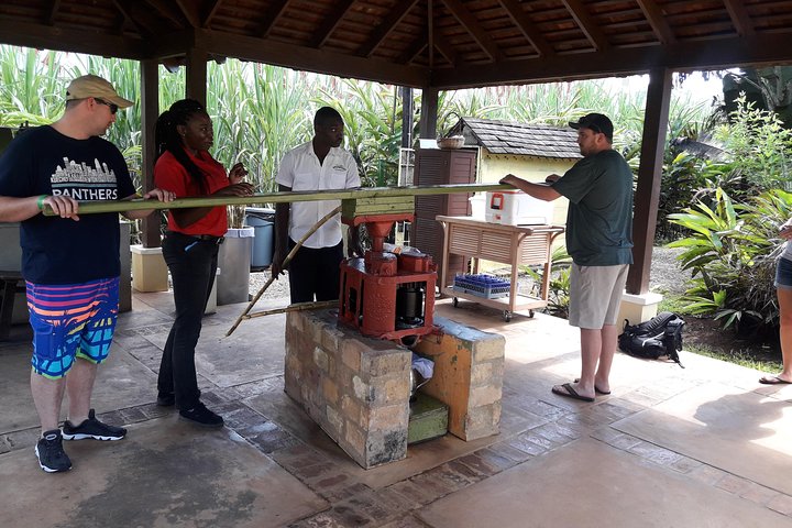 Appleton Estate Rum and Pelican Bar Private Tour from Montego Bay - Image 4