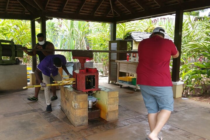  Appleton Estate Rum Tour and Pelican Bar Customize Tour - Image 3