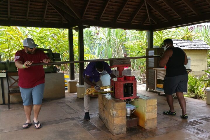  Appleton Estate Rum Tour and Pelican Bar Customize Tour - Image 4