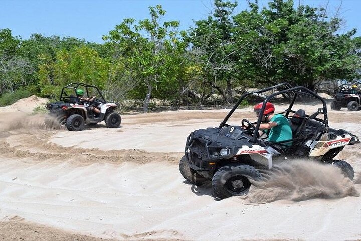 Atv and Horseback Riding Private Tour - Image 4