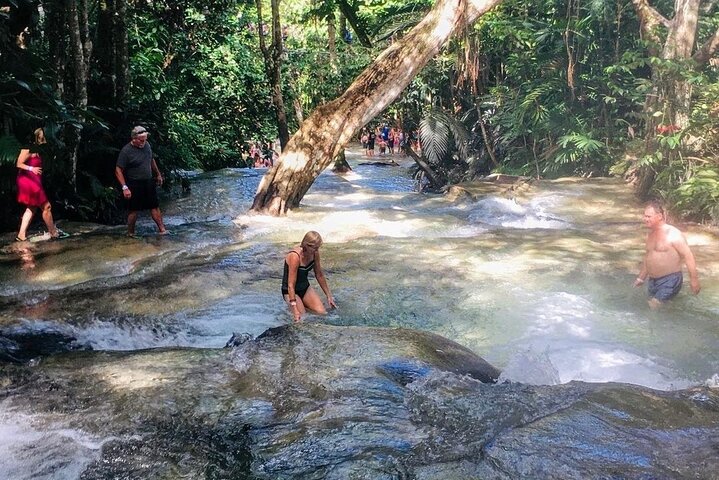 Bamboo Rafting, Dunn's River Falls and Horseback Riding Private Tour - Image 5