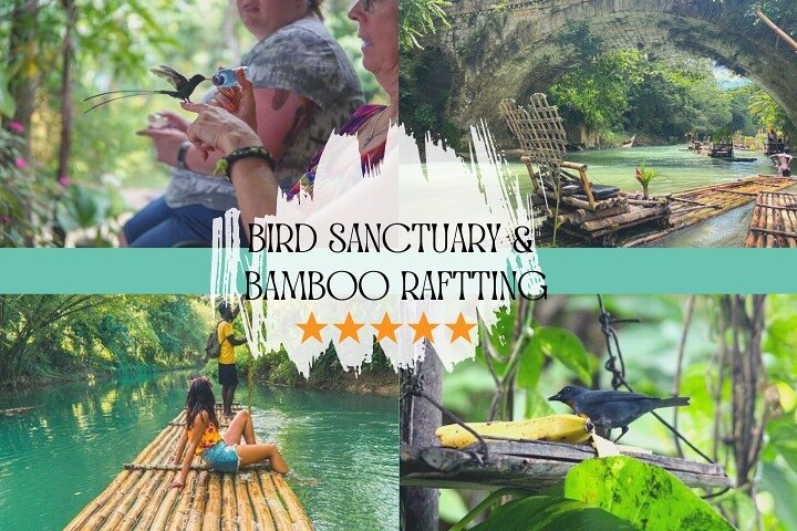 Bird Sanctuary or Bamboo Rafting from Montego Bay - Image 1
