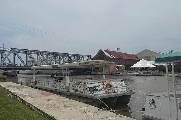 Black River Safari and Appleton Rum Estate Private Tour - Image 3