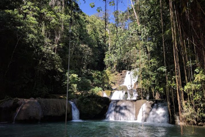 Black River Safari and YS Falls Private Tour - Image 2