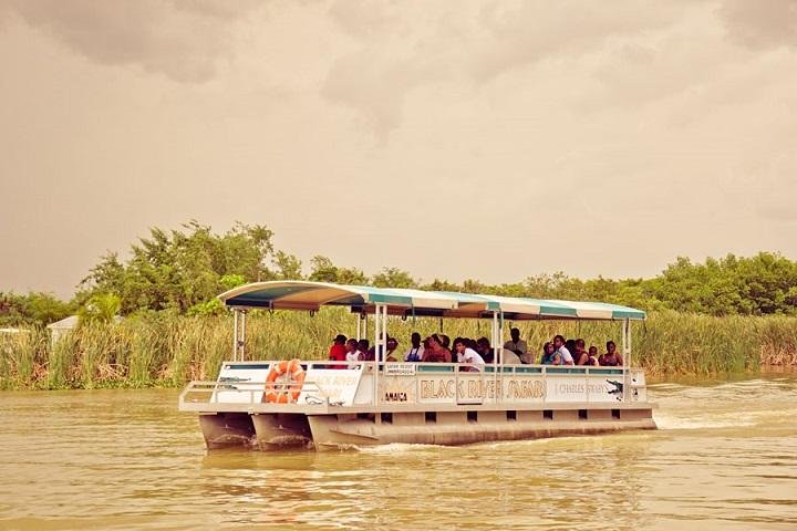 Black River Safari Tour from Montego Bay - Image 4