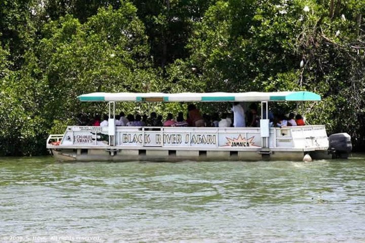Black River Safari Tour from Montego Bay - Image 3