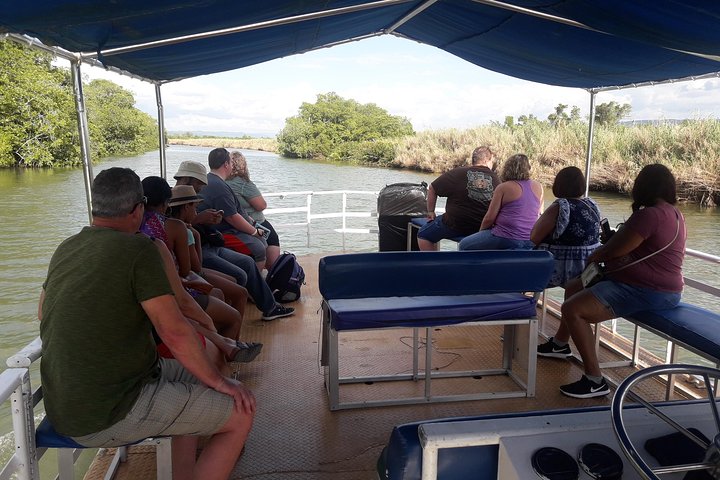 Black River Safari Tour from Montego Bay - Image 2