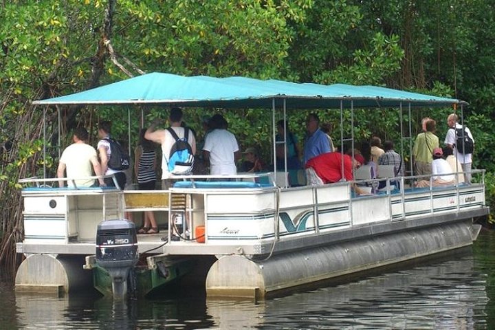 Black River Safari Tour from Montego Bay - Image 1