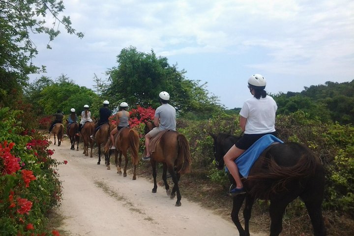Blue Hole Adventure with Horseback Riding from Montego Bay - Image 2